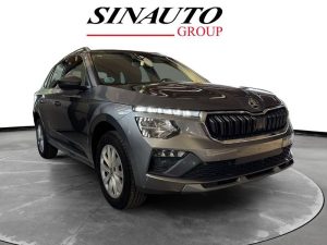 Skoda Kamiq  1.0 TSI Selection DSG 115 CV